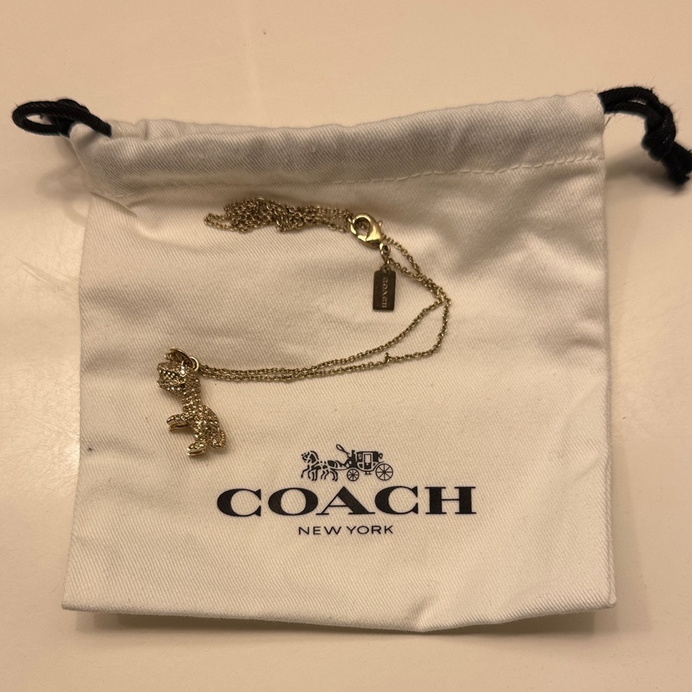 Coach Gold Chain with Dinosaur Pendant